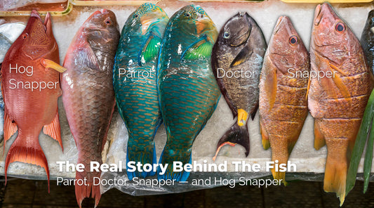 The Real Story Behind Parrot, Doctor, Snapper — and Hog Snapper